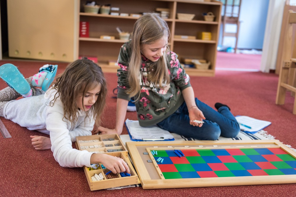 Freedom and the Montessori Classroom